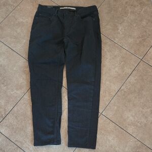 Banana Republic Dark Blue Chinos